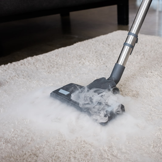 enn-carpet-cleaning-services